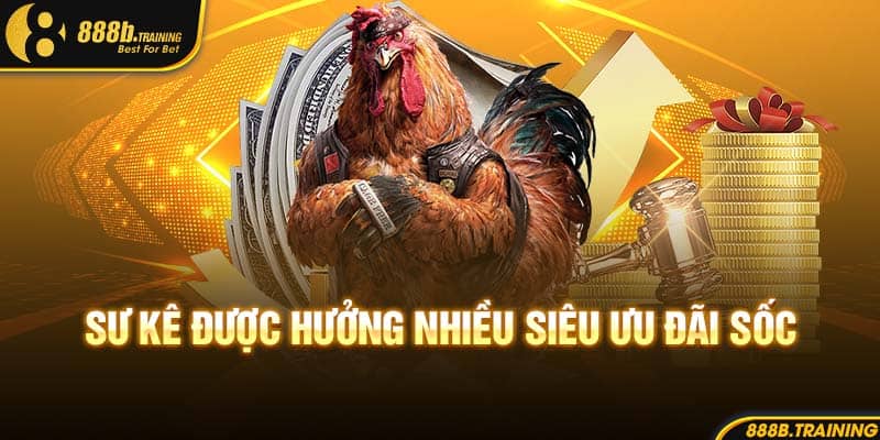 Sư kê được hưởng nhiều siêu ưu đãi sốc