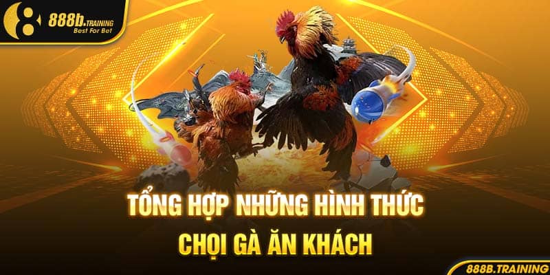 Tổng hợp những hình thức chọi gà ăn khách