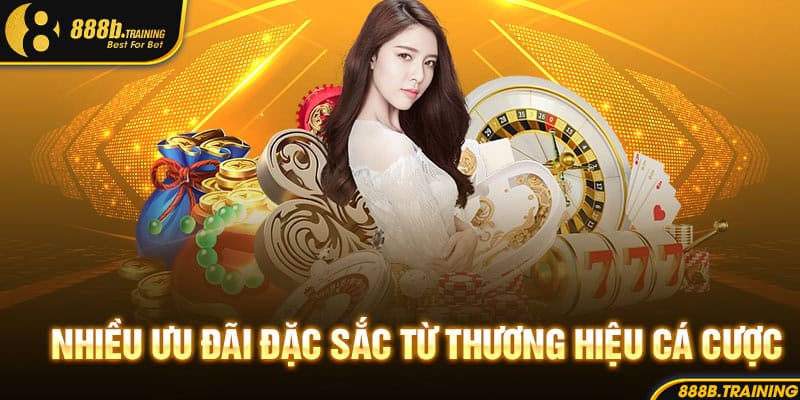 Nhiều ưu đãi đặc sắc từ thương hiệu cá cược